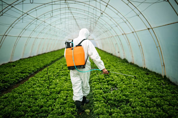 Reliable Moses Lake, WA Pest Control Solutions
