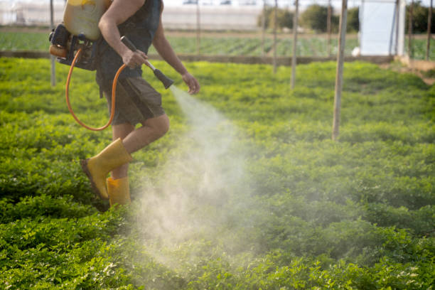 Best Pest Removal Services  in Moses Lake, WA