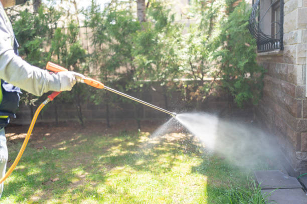 Best Termite Control Services  in Moses Lake, WA