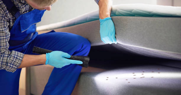 Best Pest Control Near Me  in Moses Lake, WA