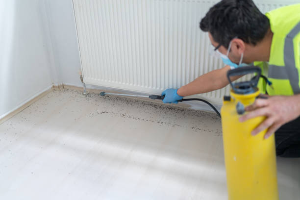 Best Exterminator Services  in Moses Lake, WA