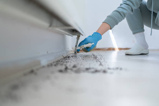 Best Flea Control Services  in Moses Lake, WA