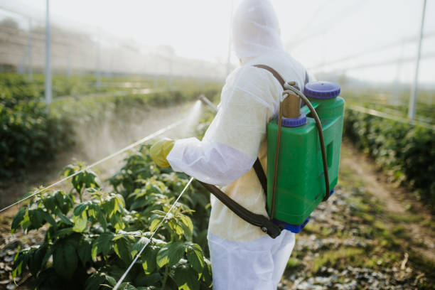Best Emergency Pest Control  in Moses Lake, WA